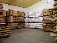 Fernheims Jahresproduktion von Erdnüssen mit Schale beläuft sich auf 10 000 bis 15 000t, Tendenz steigend. Zwischen 5000 und 7000 t geschälte Erdnüsse werden jährlich exportiert.