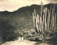 Paisaje de Cuicatlán, Oaxaca, hacia 1925. ©Instituto Ibero-American, Berlín